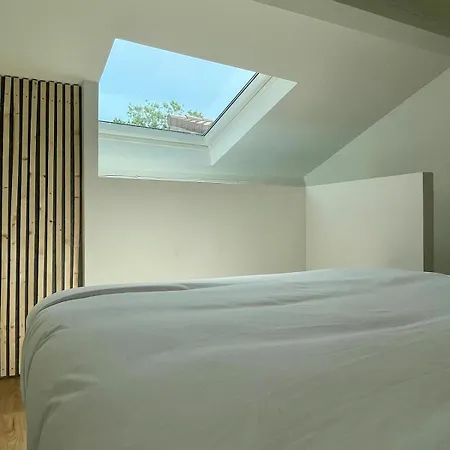 Clairette Stylish Duplex With Terrace * Saint-Etienne (Loire)
